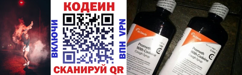 Купить закладки  Каменск-Шахтинский  Кодеин напиток Lean (лин) 
