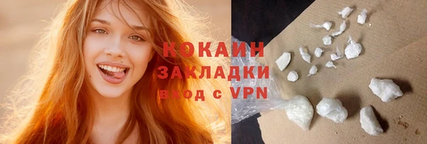 сатива Беломорск