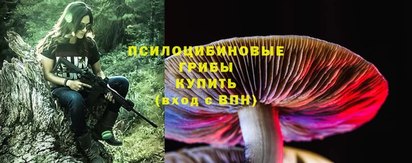 синтетический гашиш Богородицк