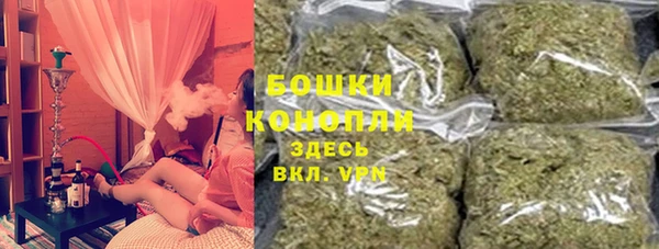 сатива Беломорск