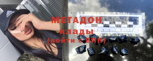 индика Бородино