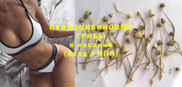 марки nbome Белокуриха