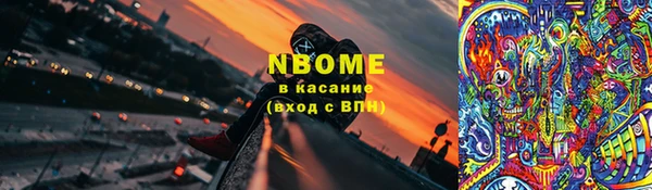 сатива Беломорск