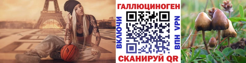 Псилоцибиновые грибы ЛСД  Купить где  Каменск-Шахтинский 