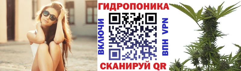 Купить закладки  Каменск-Шахтинский  Шишки марихуана марихуана 